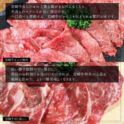 史上初内閣総理大臣賞4連覇* 宮崎牛 カルビ焼肉400g・切り落とし400g  計800g(美郷町)