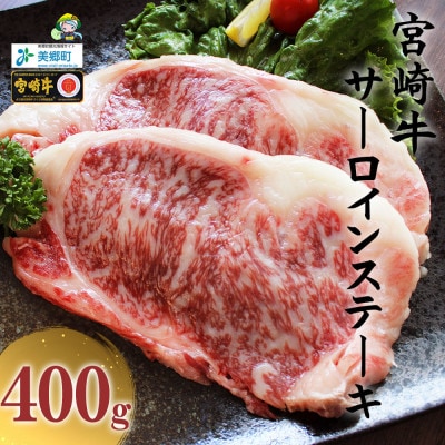 史上初内閣総理大臣賞4連覇* 宮崎牛 サーロインステーキ 2枚 合計400g(美郷町)