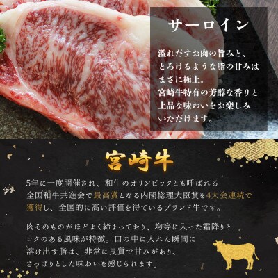史上初内閣総理大臣賞4連覇* 宮崎牛 サーロインステーキ 2枚 合計400g(美郷町)