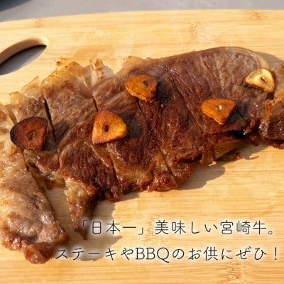 史上初内閣総理大臣賞4連覇* 宮崎牛 サーロインステーキ 2枚 合計400g(美郷町)