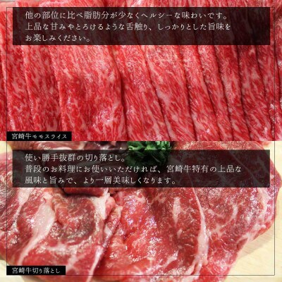 史上初内閣総理大臣賞4連覇* 宮崎牛 しゃぶしゃぶ400g・切り落とし400gセット(美郷町)