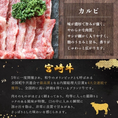 【7月より順次発送】宮崎牛カルビ焼肉 500g(美郷町)