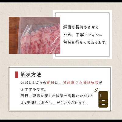 【8月より順次発送】宮崎牛 モモスライス 500g(美郷町)
