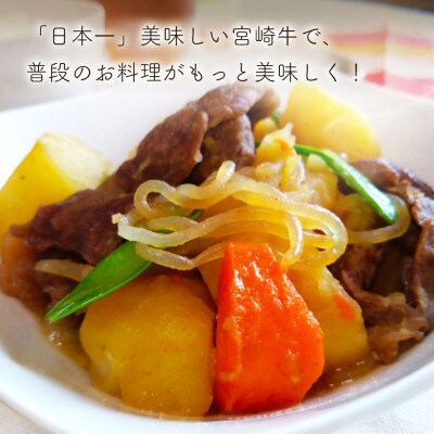 【8月より順次発送】宮崎牛 モモスライス 500g(美郷町)