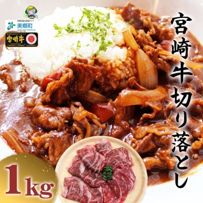 【4月より順次発送】宮崎牛 切り落とし 1kg(500g×2パック)(美郷町)