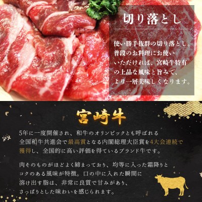 【5月より順次発送】宮崎牛 切り落とし 1kg(500g×2パック)(美郷町)