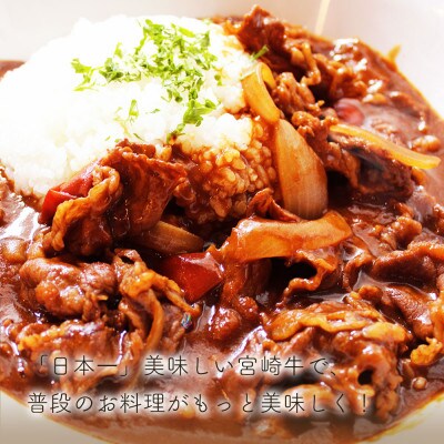 【7月より順次発送】宮崎牛 切り落とし 1kg(500g×2パック)(美郷町)