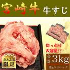 【さとふる限定】宮崎牛 牛すじ A4～A5ランク 3kg(1kg×3パック)(美郷町)