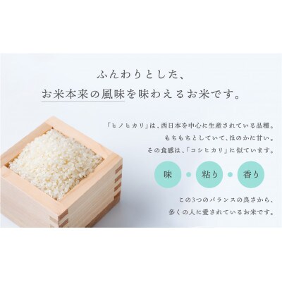 【2合ずつ小分けで使いやすい!】特A受賞 美郷町産 ひのひかり3種 米キューブ 300g×3個セット