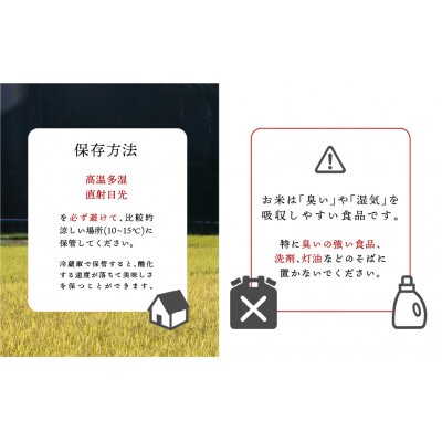【2合ずつ小分けで使いやすい!】特A受賞 美郷町産 ひのひかり3種 米キューブ 300g×3個セット