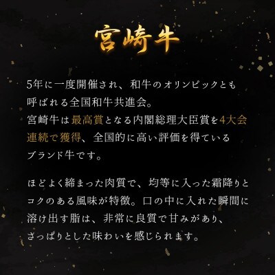 宮崎牛 シャトーブリアン 約600g
