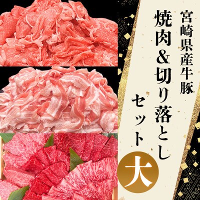宮崎の牛肉豚肉 焼肉・切り落としセット大 合計5.0kg