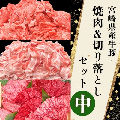 宮崎の牛肉豚肉 焼肉・切り落としセット中 合計4.5kg