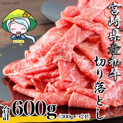 宮崎県産黒毛和牛切り落とし600g(美郷町)