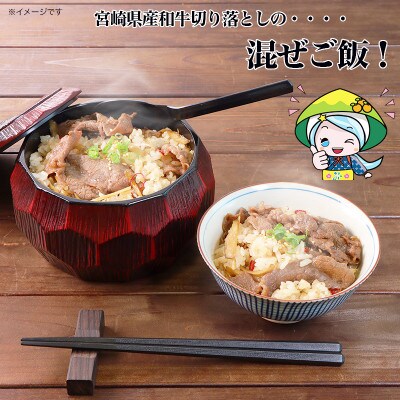 宮崎県産黒毛和牛切り落とし600g(美郷町)