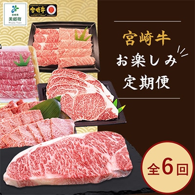 【毎月定期便】宮崎牛お楽しみ全6回