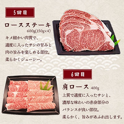 【毎月定期便】宮崎牛お楽しみ全6回