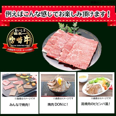 【2024年4月下旬発送】宮崎牛肩焼肉400g(美郷町)
