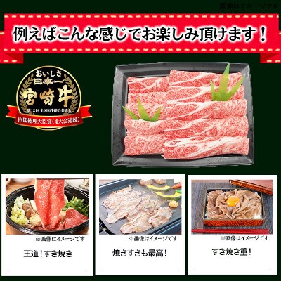 【2024年6月上旬発送】宮崎牛肩ロースすき焼き600g(美郷町)MGK-100
