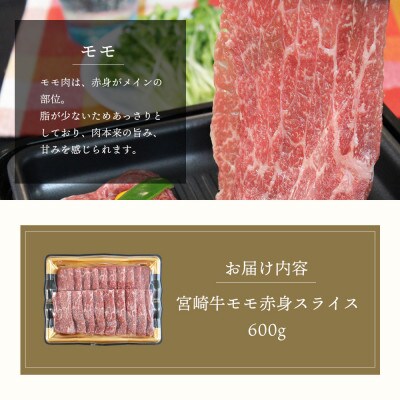 【A4等級以上】宮崎牛モモ赤身スライス500g+100g(合計600g)