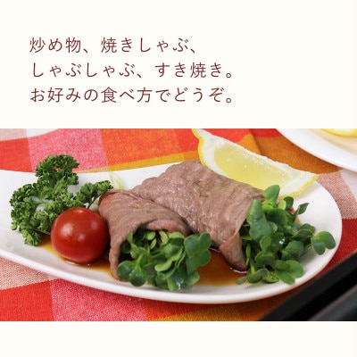 【A4等級以上】宮崎牛モモ赤身スライス500g+100g(合計600g)