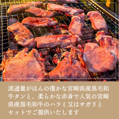 宮崎県産黒毛和牛タン300g&ハラミもしくはサガリセット500g(計800g)ABURI粉1瓶付き