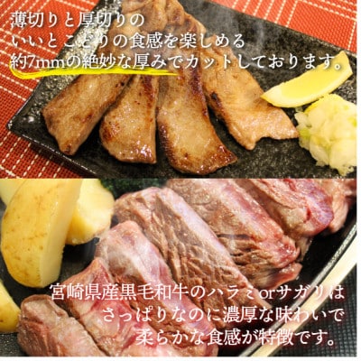 宮崎県産黒毛和牛タン300g&ハラミもしくはサガリセット500g(計800g)ABURI粉1瓶付き