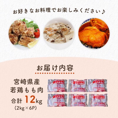 宮崎県産若鶏もも肉　計12kg(2kg×6パック)(美郷町)