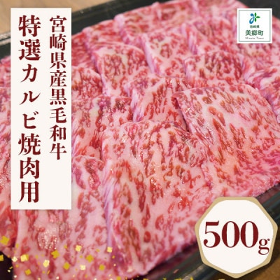 宮崎県産黒毛和牛特選カルビ焼肉用 500g
