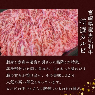 宮崎県産黒毛和牛特選カルビ焼肉用 500g