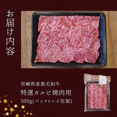 宮崎県産黒毛和牛特選カルビ焼肉用 500g