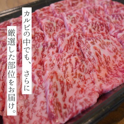宮崎県産黒毛和牛特選カルビ焼肉用 500g