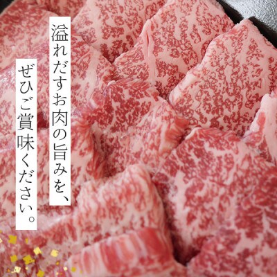 宮崎県産黒毛和牛カルビ焼肉 700g (350g×2)