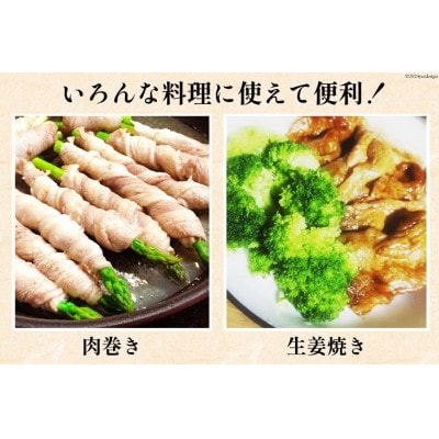 宮崎県産 豚肉 切り落し 500g×6 計3kg