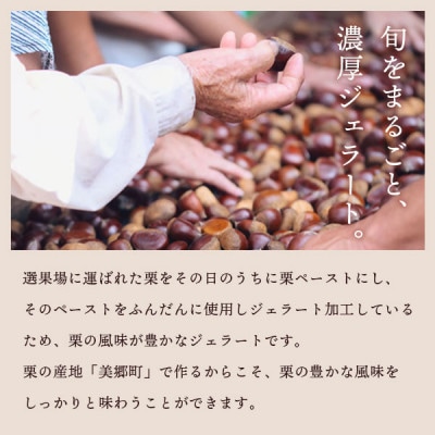 美郷栗ジェラート6個セット