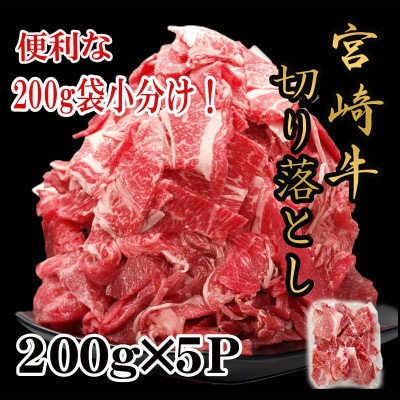 宮崎牛小間切れ1kg(200g×5p)(美郷町)