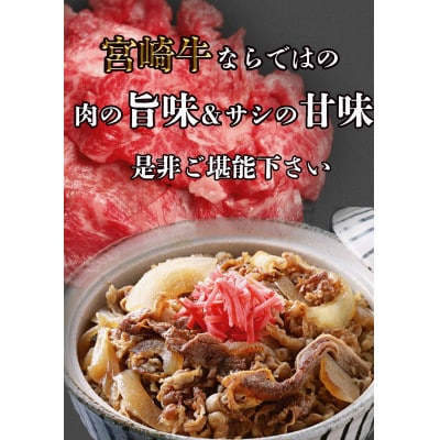 宮崎牛小間切れ1kg(200g×5p)(美郷町)