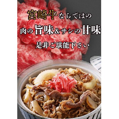 宮崎牛小間切れ2kg(200g×10P)(美郷町)