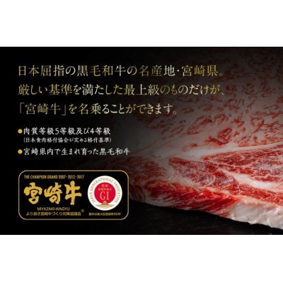 宮崎牛 A5 霜降 焼肉 セット 500g ステーキソース付き ギフト箱入り