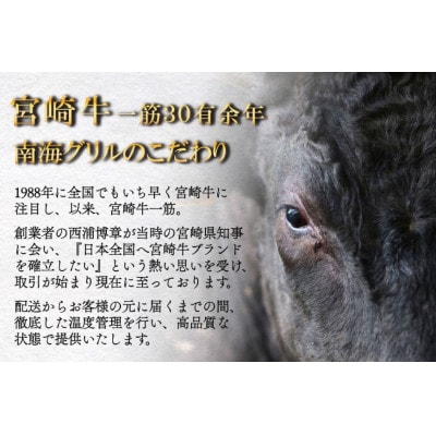 宮崎牛 A5 霜降 焼肉 セット 500g ステーキソース付き ギフト箱入り
