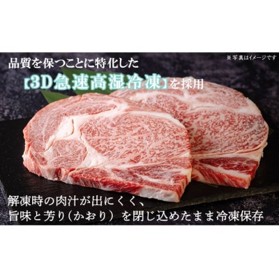 宮崎牛 A4 赤身 焼肉 セット 500g ステーキソース付き ギフト箱入り