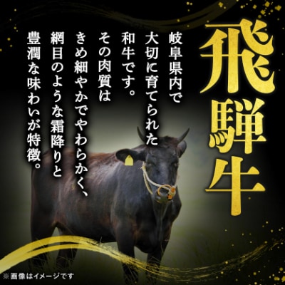 飛騨牛A5等級　ヒレステーキ　約300g(150g×2)