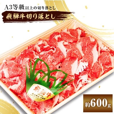 飛騨牛切り落とし 約600g