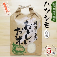 【令和4年産】岐阜県神戸町:農家直送!岐阜ハツシモ　白米　5kg