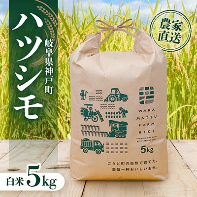 【令和7年産】岐阜県神戸町:農家直送!岐阜ハツシモ　白米　5kg
