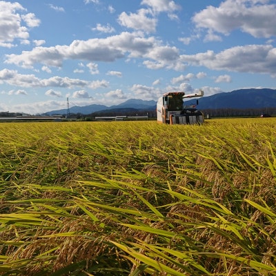令和5年産】岐阜県神戸町:農家直送!岐阜ハツシモ 白米 5kg