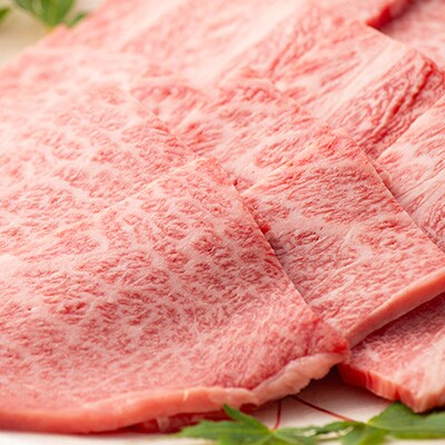 『A5等級』飛騨牛焼肉用500g　ロース又は肩ロース肉