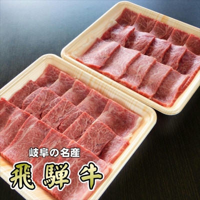 『A5等級』飛騨牛赤身肉焼肉用600g　モモ又はカタ肉