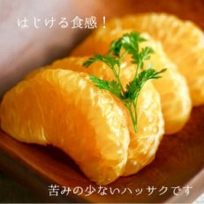 きみのハッサク 約4.5kg / ご家庭用 (秀優混合)