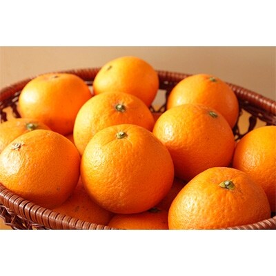 [厳選]有田産清見オレンジ約10kg(サイズおまかせ・秀品)(紀美野町)